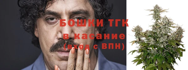 крисы Богородицк