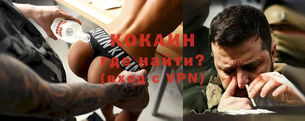 крисы Богородицк