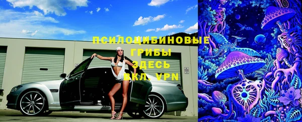 крисы Богородицк