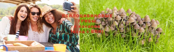 spice Богородск