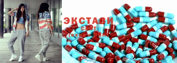 крисы Богородицк